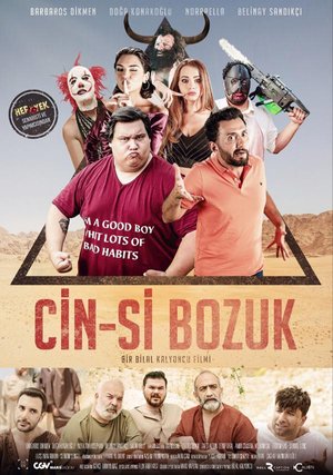 Cinsi_Bozuk