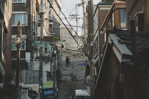 Parazit_05