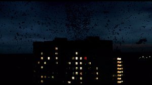 Gece_Nobeti_02
