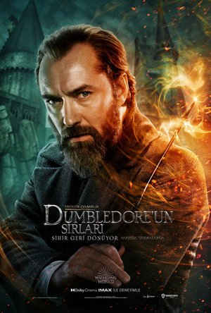Fantastik_Canavarlar_Dumbledoreun_Sirlari_Afis_06