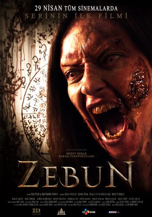 Zebun_Afis_01