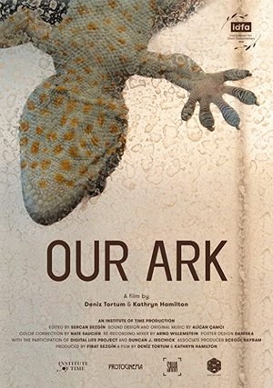 Our_Ark_Afis_02