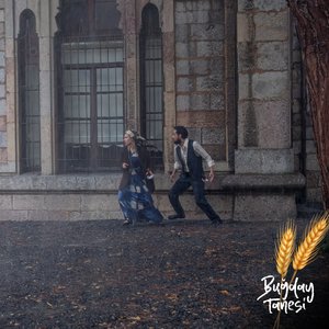 Bugday_Tanesi_05