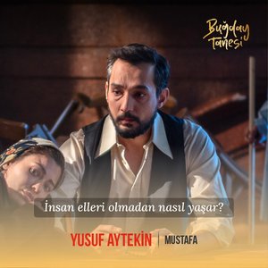 Bugday_Tanesi_02