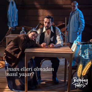 Bugday_Tanesi_13