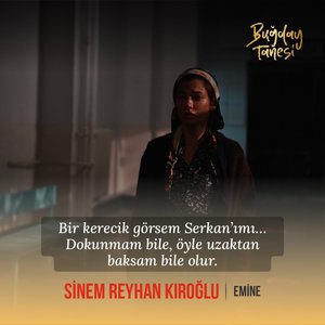 Bugday_Tanesi_03