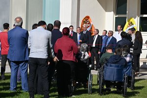 Bugday_Tanesi_35