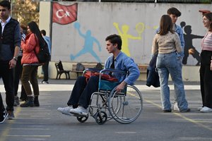 Bugday_Tanesi_40