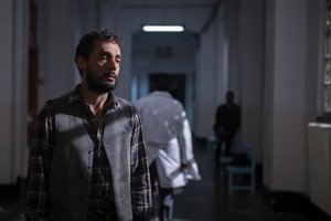 Bugday_Tanesi_31