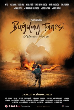 Bugday_Tanesi_Afis_03