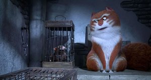 Muhtesem_Kedi_Maurice_10