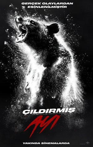 Cildirmis_Ayi_Ilan