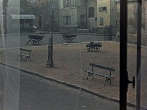 Amcam_19