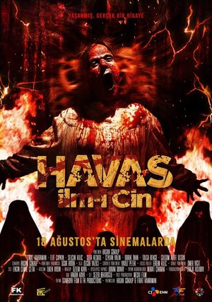 Havas_Ilmi_Cin