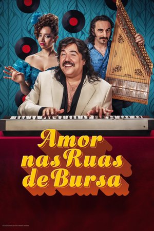 Bursa_Bulbulu_Afis_06