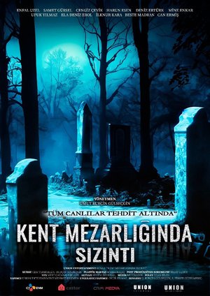 Kent_Mezarliginda_Sizinti_Afis_01
