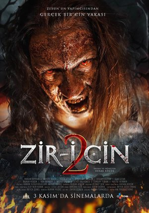 Ziri_Cin_2