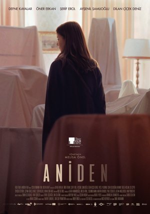 Aniden_Afis_01