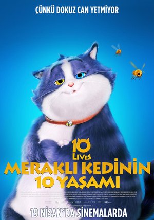 Merakli_Kedinin_10_Yasami