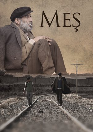Mes_Afis_01