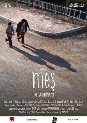 Mes_Afis_02