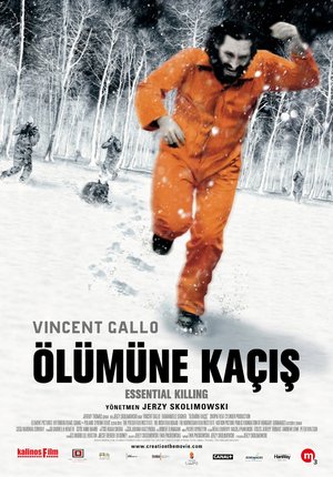 Olumune_Kacis