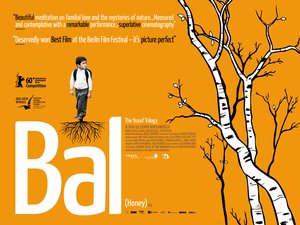 Bal_Ilan