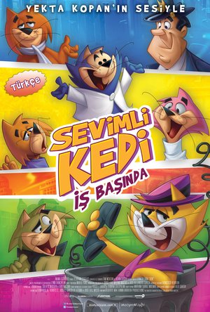 Sevimli_Kedi_Is_Basinda