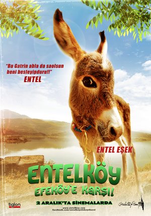 Entelkoy_Efekoye_Karsi_Afis_04