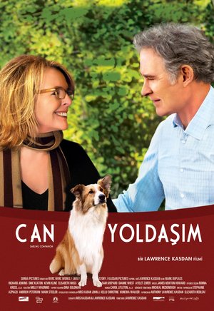 Can_Yoldasim