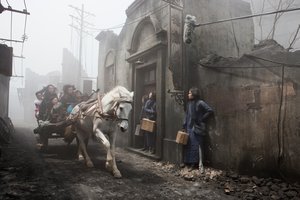 Savasin_Cicekleri_27