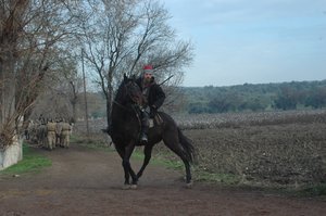 Kirik_Kanatlar_115