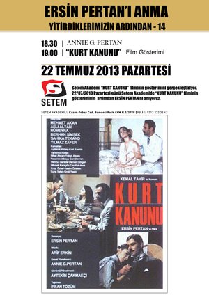 Setem_26